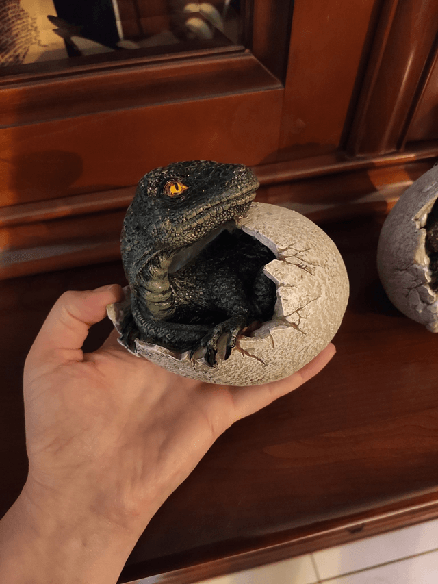 Naissance de Raptor