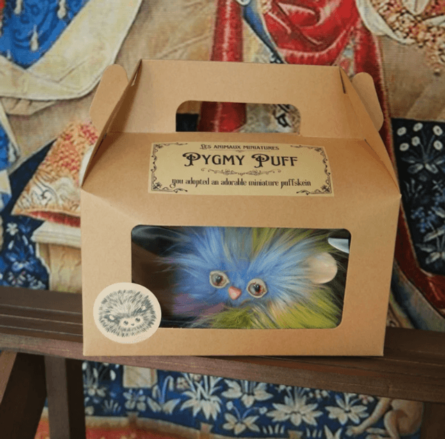 Pygmy Puff adoption