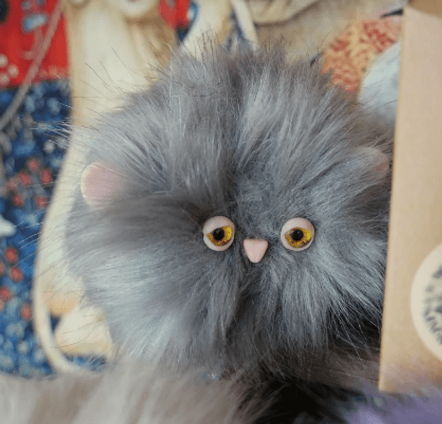 Pygmy Puff adoption