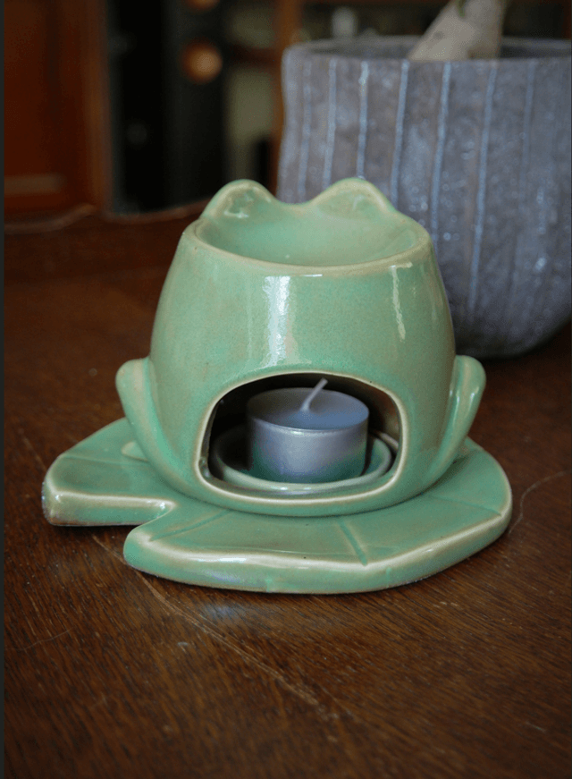 Brûleur grenouille sur nénuphar