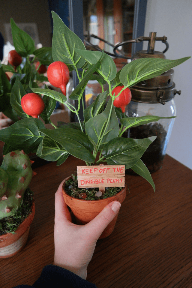 Prune dirigeable - Dirigible Plum