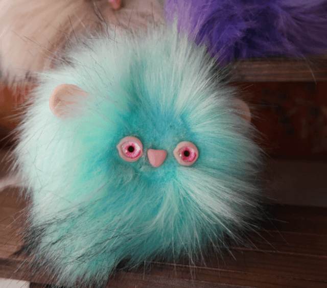 Pygmy Puff adoption