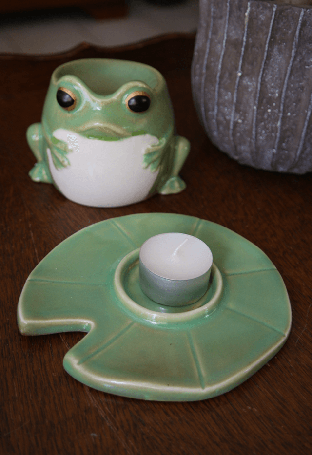 Brûleur grenouille sur nénuphar