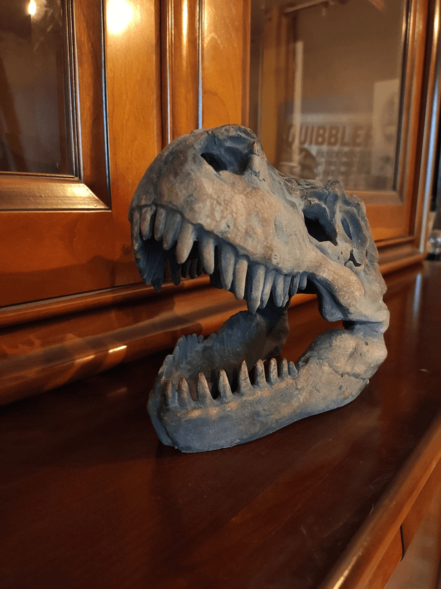 Crâne de Tyrannosaurus Rex 16cm