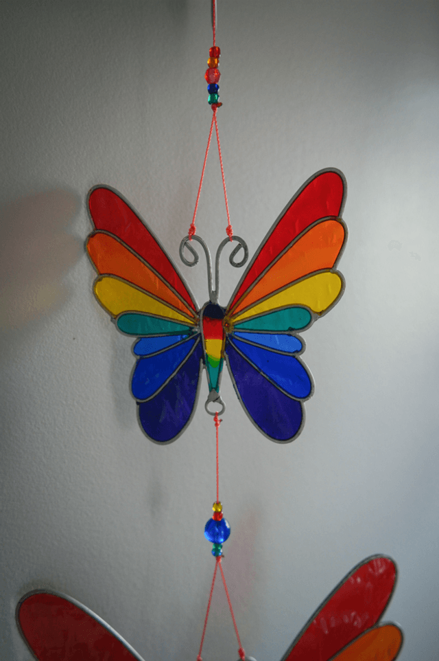 Attrape soleil papillons