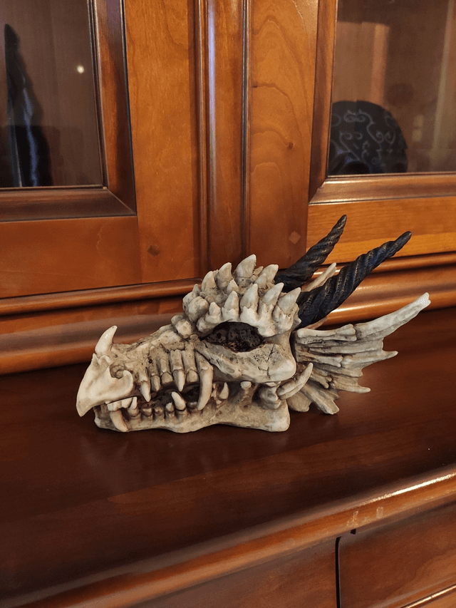Coffret Crâne de Dragon