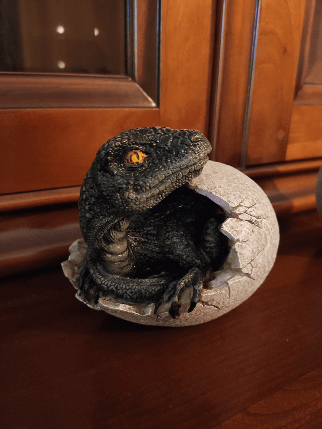 Naissance de Raptor